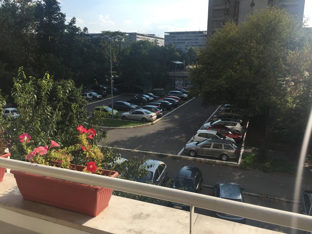 Lovely Apartment Belgrad Exterior foto